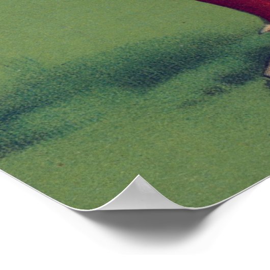 baseball boston poster (Hoek)