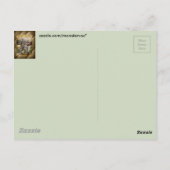 Baseball: Briefkaart (Achterkant)
