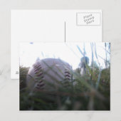 Baseball-Briefkaart Briefkaart (Voorkant / Achterkant)