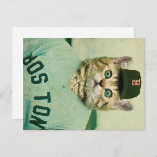 Baseball Cat Briefkaart (Voorkant / Achterkant)