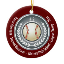 Baseball Champion Player School Silver Grey Red