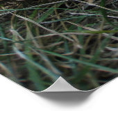 Baseball Dreams Foto Poster (Hoek)