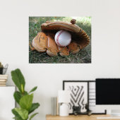 Baseball Dreams Foto Poster (Thuiskantoor)