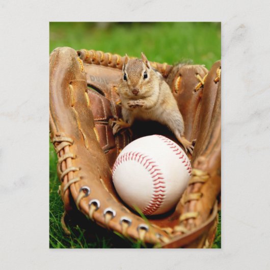 Baseball Fan Chipmunk Briefkaart (Voorkant)