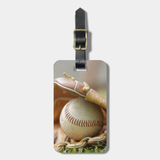 Baseball Glove and Ball Bagagelabel
