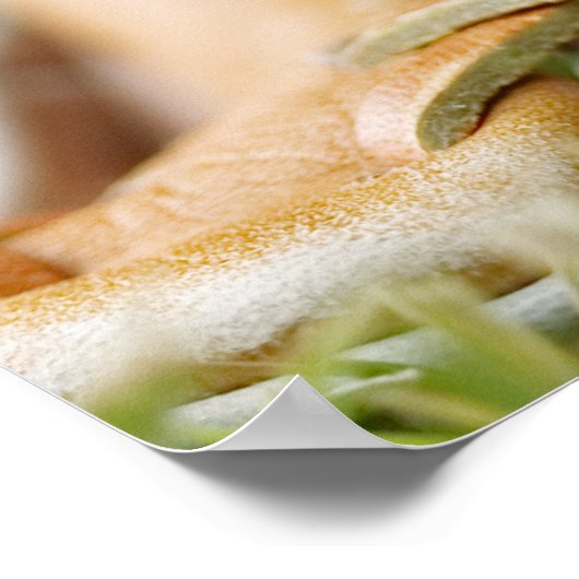 Baseball Glove and Ball Poster (Hoek)