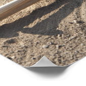 Baseball-handschoen, ballen, vleermuizen en honkba poster (Hoek)