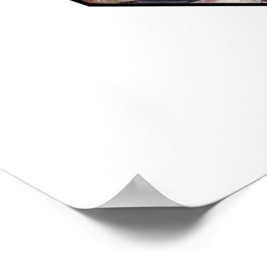 Baseball Home Poster (Hoek)