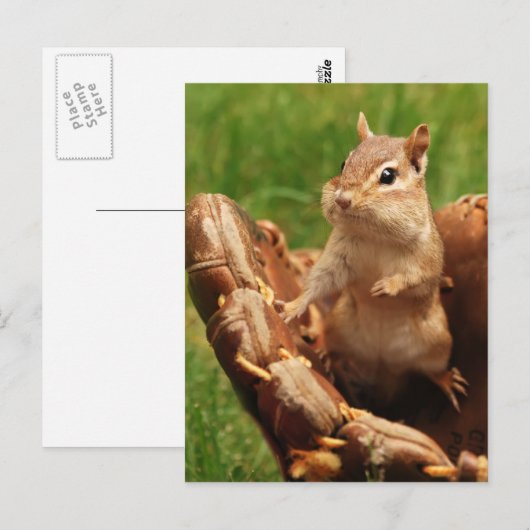 Baseball Loving Chipmunk Briefkaart (Voorkant / Achterkant)