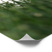 Baseball Mound Poster (Hoek)