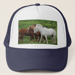 Baseball-Pet Trucker Pet