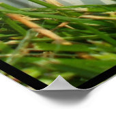 Baseball poster (Hoek)