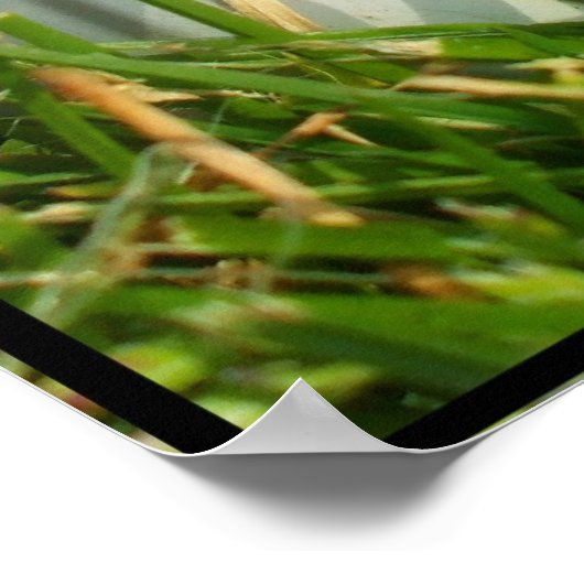 Baseball poster (Hoek)