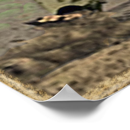 Baseball Poster Memorabilia (Hoek)