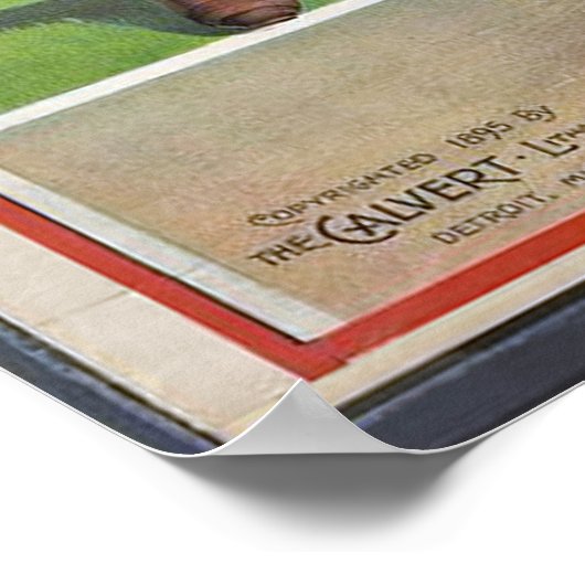 Baseball  Sport Print (Hoek)