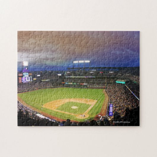 Baseball Stadium -11x14 Puzzle w/Gift Box HAMbWG Legpuzzel (Horizontaal)