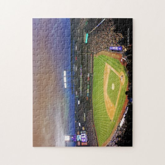 Baseball Stadium -11x14 Puzzle w/Gift Box HAMbWG Legpuzzel (Verticaal)