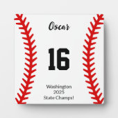 Baseball Stitches Home plaque Fotoplaat (Voorkant)