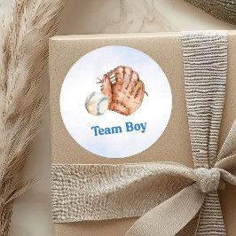 Baseballs en Bows Gender Reveal Team Boy Sticker