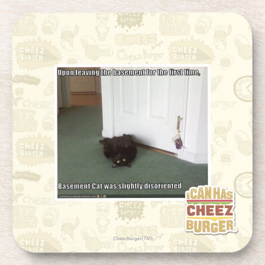 Basement Cat, enigszins gedesoriënteerd Bier Onderzetter (Voorkant)