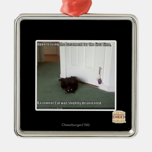 Basement Cat, enigszins gedesoriënteerd Metalen Ornament (Voorkant)