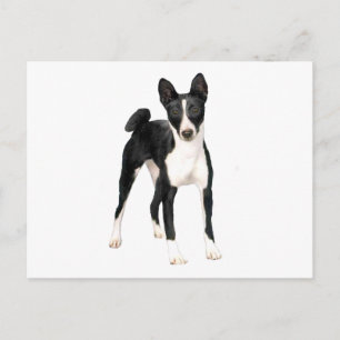 Basenji (B) - zwart en wit Briefkaart