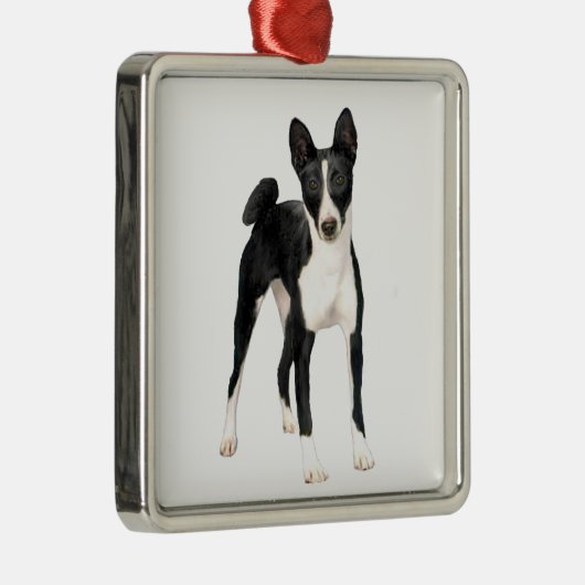 Basenji (B) - zwart en wit Metalen Ornament (Rechts)