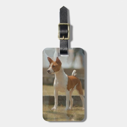 Basenji Bagagelabel (Voorkant verticaal)