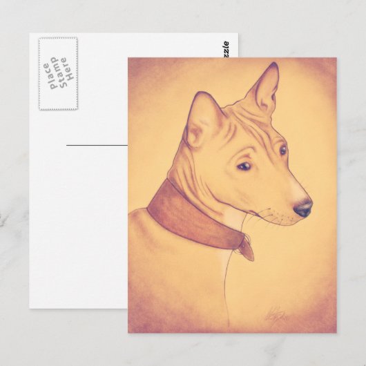 Basenji briefkaart (Voorkant / Achterkant)