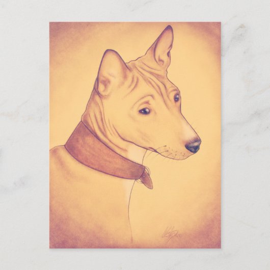 Basenji briefkaart (Voorkant)