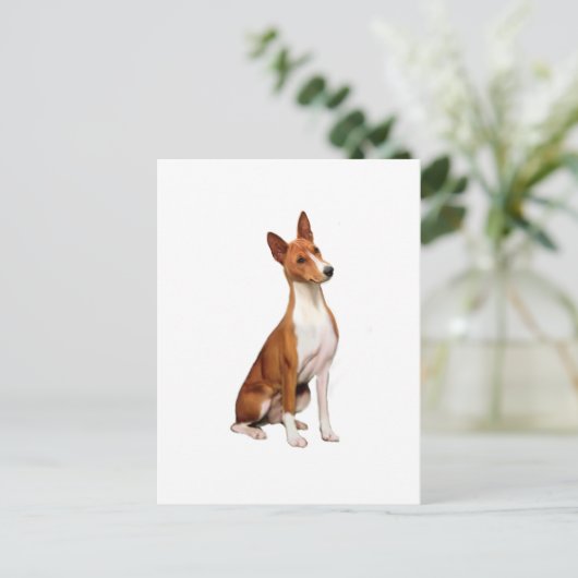 Basenji (C) Briefkaart (Staand voorkant)
