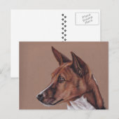 Basenji Colored Pencil Art Briefkaart (Voorkant / Achterkant)