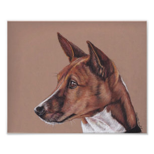 Basenji Dog Art Photo Print Foto Afdruk