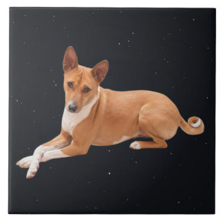 Basenji Dog  Tegeltje
