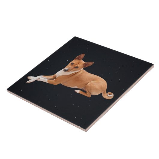 Basenji Dog  Tegeltje (Zijkant)