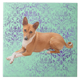 Basenji hond tegeltje