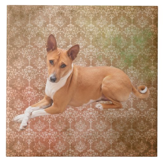 Basenji hond tegeltje (Voorkant)