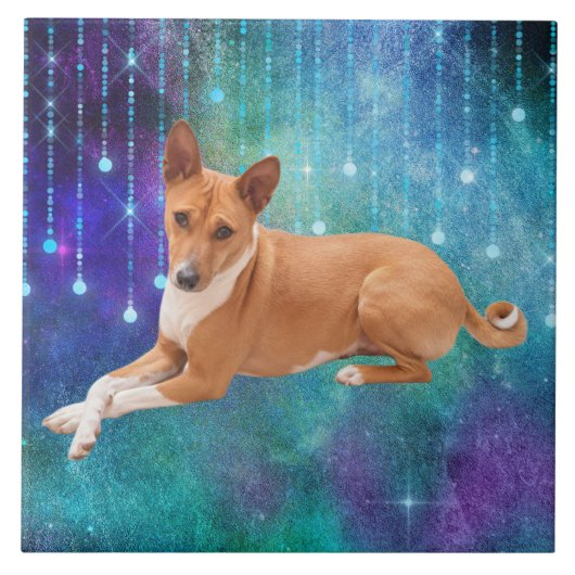 Basenji hond  tegeltje (Voorkant)