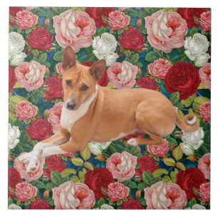 Basenji hond tegeltje