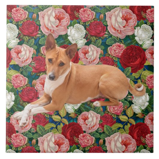 Basenji hond tegeltje (Voorkant)