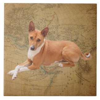 Basenji hond tegeltje