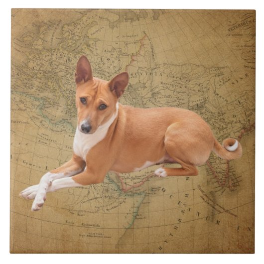 Basenji hond tegeltje (Voorkant)