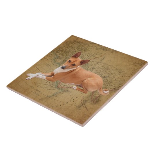 Basenji hond tegeltje (Zijkant)