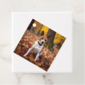 Basenji in Herfst laat Herfst inspireren Bedankjes Labels (In situ)