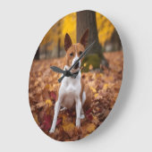 Basenji in Herfst laat Herfst inspireren Grote Klok (Hoek)