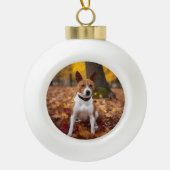 Basenji in Herfst laat Herfst inspireren Keramische Bal Ornament (Voorkant)