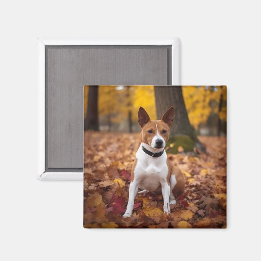 Basenji in Herfst laat Herfst inspireren Magneet (Voorkant / Achterkant)