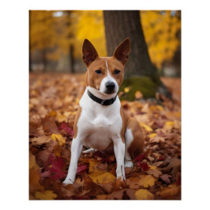 Basenji in Herfst laat Herfst inspireren Perfect Poster