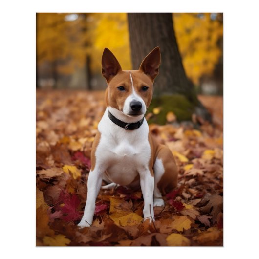 Basenji in Herfst laat Herfst inspireren Perfect Poster (Voorkant)