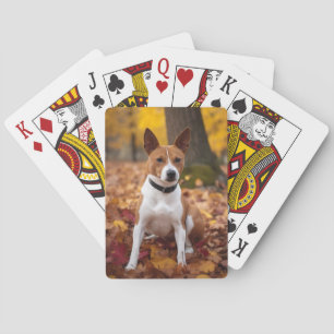 Basenji in Herfst laat Herfst inspireren Pokerkaarten